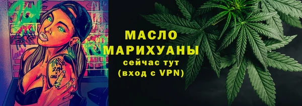 индика Богородицк